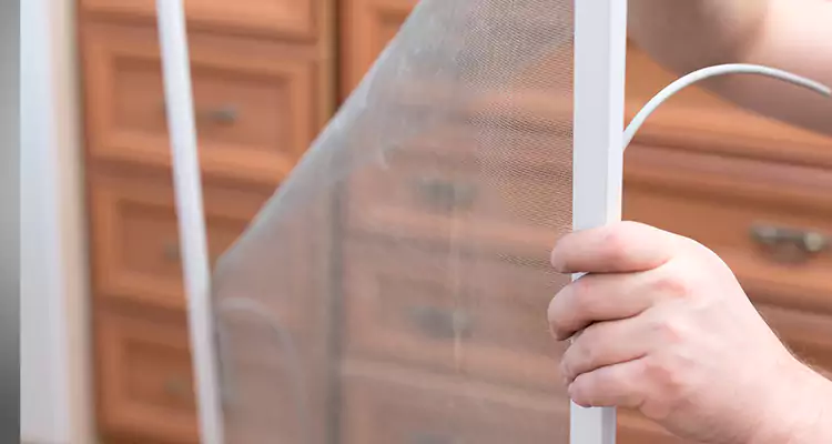 Privacy Mesh Screen Door Installation in Lehigh Acres, FL