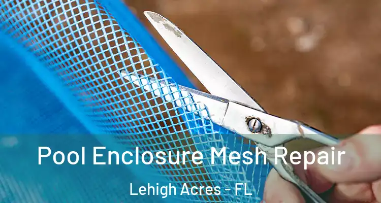  Pool Enclosure Mesh Repair Lehigh Acres - FL